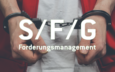 Der Haftbefehl § 802g ZPO